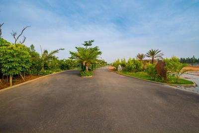 Project Image of 1200.0 - 5400.0 Sq.ft Residential Plot Plot for buy in SPA Eco City