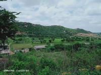 Project Image of 1530.0 - 10080.0 Sq.ft Residential Plot Plot for buy in Bhavya Deshmukhi