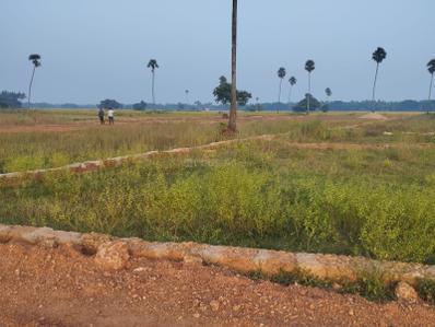 Project Image of 1500.0 - 5000.0 Sq.ft Residential Plot Plot for buy in Swarna Modern Village