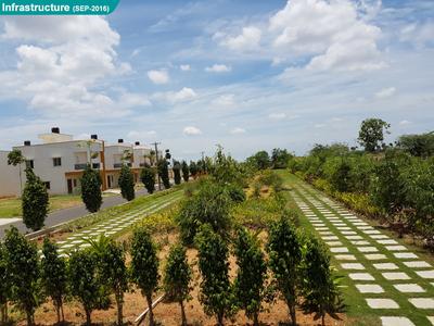 Mahidhara Central Landscaped Gardens 1