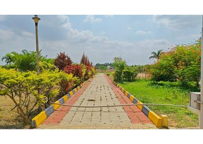 Project Image of 1200.0 - 2400.0 Sq.ft Residential Plot Plot for buy in Xotic Anthea