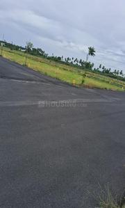 Project Images