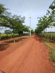 Project Image of 7650 Sq.ft Residential Plot / Land for sale in Kumhari for Rs. 3450000