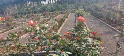 Project Image of 2451.0 - 4543.0 Sq.ft 4 BHK Villa for buy in Himalaya Sunshine