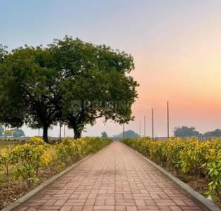 Project Image of 1076.39 - 1614.59 Sq.ft Residential Plot Plot for buy in Navsheel Jyoti Greens Phase 2