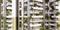 Sai Costa Furtune Crestview Elevation 2