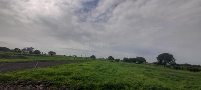 Project Image of 0.0 - 1491.56 Sq.ft Residential Plot Plot for buy in Kalyan Villa Phase IV