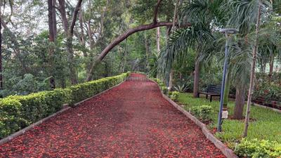 Project Image of 952.61 - 1976.36 Sq.ft 3 BHK Apartment for buy in ABH Treeland Phase 5
