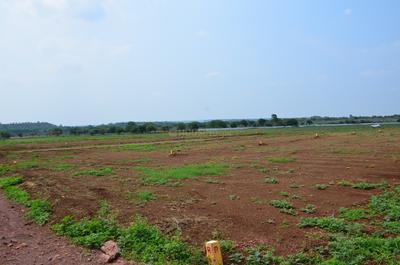 Project Image of 1326.65 - 12368.27 Sq.ft Residential Plot Plot for buy in Navya Green Fields