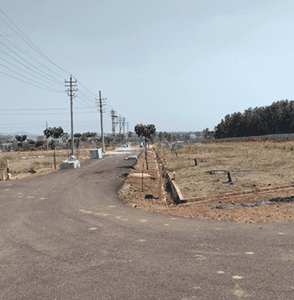 Vee2 Srinivasan Layout Plot 1