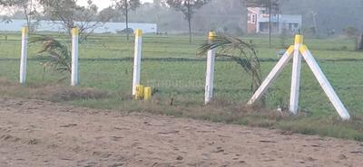 Project Image of 600.0 - 2400.0 Sq.ft Residential Plot Plot for buy in Nuworld Little Kerala