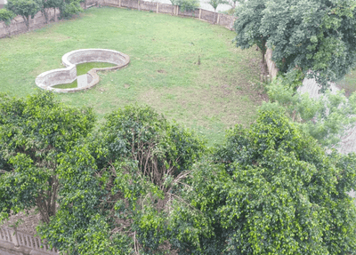 Project Images