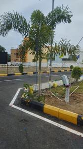 Project Image of 1003.0 - 1420.0 Sq.ft Residential Plot Plot for buy in Sri Urban Castle