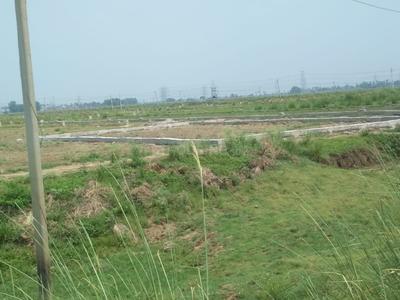Sampatchak Green City Plot 2