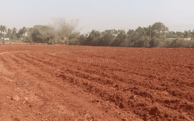 Project Image of 532.81 - 19634.13 Sq.ft Residential Plot Plot for buy in KNS Mudra