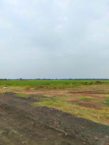 Swapnabhumi Land Plot 2