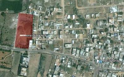 Project Image of 1268.0 - 2065.0 Sq.ft 2 BHK Apartment for buy in Amsri Flora Ncb