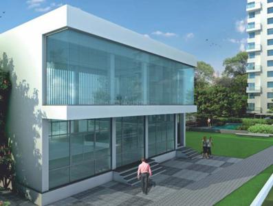 Project Images