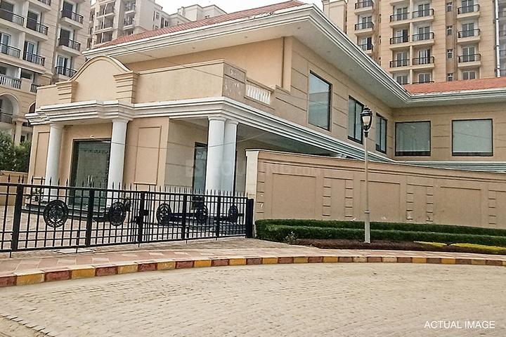 Gallery Cover Pic of Oro Atlantis