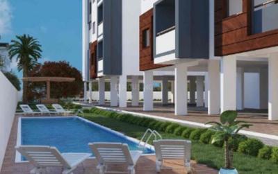 Elite Brookvale Swimming Pool 1