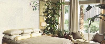 Project Image of 1625.0 - 3200.0 Sq.ft 3 BHK Apartment for buy in ATS Le Grandiose Phase 2