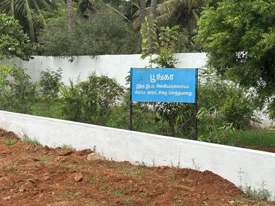 Daisy Garden Plot 1