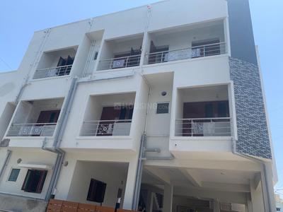 MSD Tulip Elevation 1