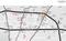 Kopren Location Plan 2
