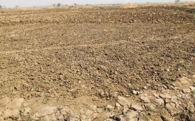 Project Image of 1000.0 - 10000.0 Sq.ft Residential Plot Plot for buy in Samrajya Chirle