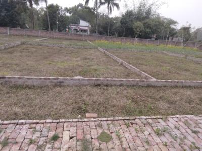 Project Image of 5184.0 - 7200.0 Sq.ft Residential Plot Plot for buy in Griebs Shantiniketan