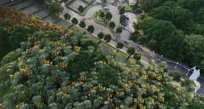 Greenland Meraki Phase 1 Elevation 1