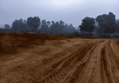 Project Image of 1200.0 - 1925.0 Sq.ft Residential Plot Plot for buy in Redbrick Empire