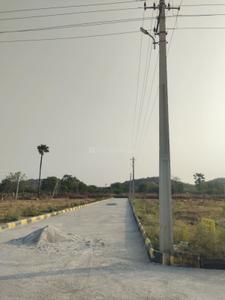 Project Image of 1125.0 - 2700.0 Sq.ft Residential Plot Plot for buy in Sahuri County 3