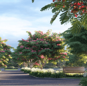Project Image of 622.0 - 3397.0 Sq.ft Residential Plot Plot for buy in Sobha Conserve
