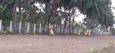 Project Image of 600.0 - 2400.0 Sq.ft Residential Plot Plot for buy in Nuworld Little Kerala