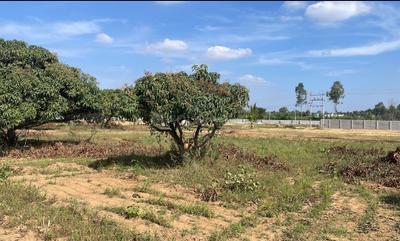 Project Image of 5178.0 - 11433.0 Sq.ft Residential Plot Plot for buy in PK Mango Nest Farmlands