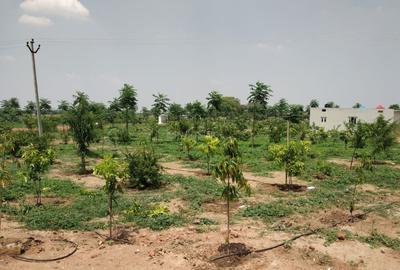 Project Image of 8028.0 - 21609.0 Sq.ft Residential Plot Plot for buy in Vardhan Prakruthi Vanam