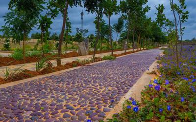 Project Image of 1200.0 - 5400.0 Sq.ft Residential Plot Plot for buy in SPA Eco City