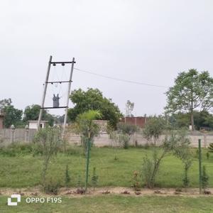 Project Image of 1000.0 - 1500.0 Sq.ft Residential Plot Plot for buy in Semra City