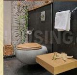 Project Images