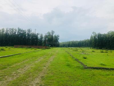Project Image of 0.0 - 899.97 Sq.ft Residential Plot Plot for buy in Sarahna Defence Colony Evergreen City