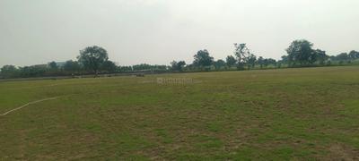 Project Image of 1944.0 - 7200.0 Sq.ft Residential Plot Plot for buy in Thanmai Equatorial