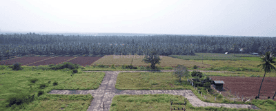 Project Images