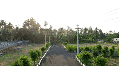 Project Images