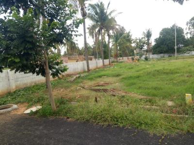 Project Image of 800.0 - 1100.0 Sq.ft Residential Plot Plot for buy in Pragna Woodland