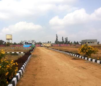 Project Images