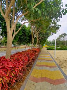 Project Image of 2190.41 - 12817.0 Sq.ft Residential Plot Plot for buy in Celebrity Eco Front