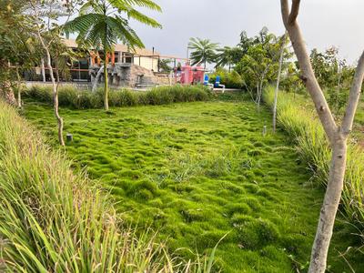 Project Image of 3267.0 - 5445.0 Sq.ft Residential Plot Plot for buy in Suvarnabhoomi Suvarna Sahasra