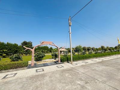 Project Image of 1000.0 - 1800.0 Sq.ft Residential Plot Plot for buy in Ricon Impex City