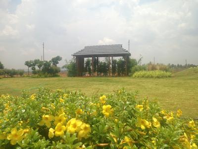 Project Image of 1108.0 - 2400.0 Sq.ft Residential Plot Plot for buy in Shriram Godhuli